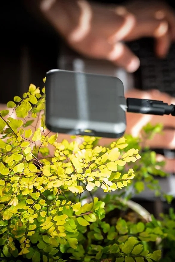 兰花植物生长特征数据模型构建智能化系统

The data model of orchid plant growth characteristics builds an intelligent system